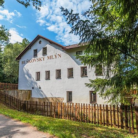 Hotel Buskovsky Mlyn 1580 à Dolní Bousov Extérieur photo